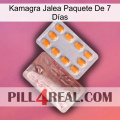 Kamagra Jalea Paquete De 7 Días new13